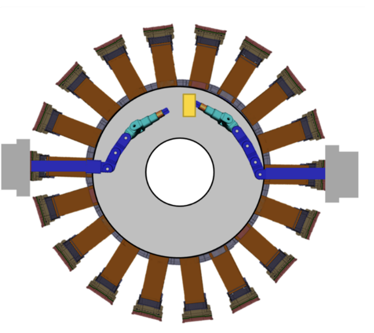 DTT- Remote handling: the Hiper Redundant Manipulator