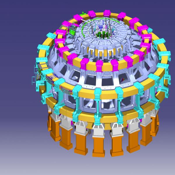 DTT poloidal magnetic system